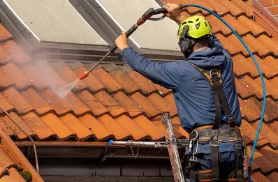 Démoussage et hydrofuge de toiture à Jarnosse